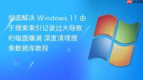 彻底解决 Windows 11 由于搜索索引记录过大导致的磁盘爆满 深度清理搜索数据库教程