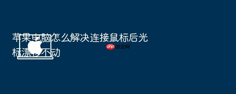 苹果电脑怎么解决连接鼠标后光标漂移不动