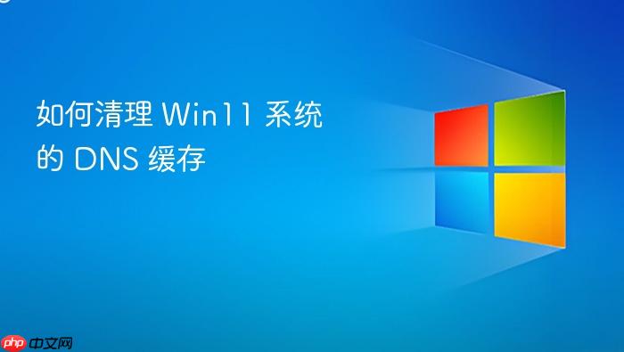 如何清理 win11 系统的 dns 缓存