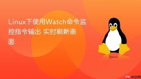 linux下使用watch命令监控指令输出 实时刷新画面