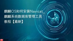 麒麟OS如何安装Navicat_麒麟系统数据库管理工具教程【最新】