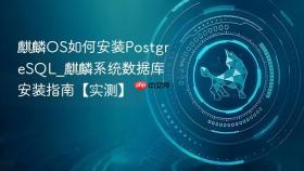 麒麟OS如何安装PostgreSQL_麒麟系统数据库安装指南【实测】