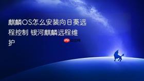 麒麟os怎么安装向日葵远程控制 银河麒麟远程维护