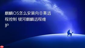 麒麟OS怎么安装向日葵远程控制 银河麒麟远程维护