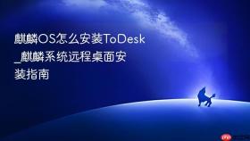 麒麟os怎么安装todesk_麒麟系统远程桌面安装指南