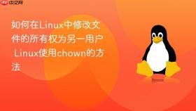 如何在linux中修改文件的所有权为另一用户 linux使用chown的方法