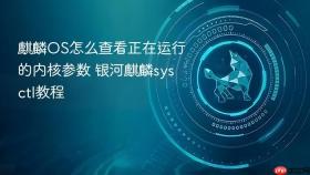 麒麟os怎么查看正在运行的内核参数 银河麒麟sysctl教程