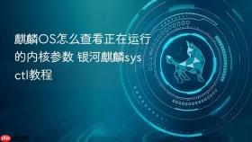 麒麟OS怎么查看正在运行的内核参数 银河麒麟sysctl教程