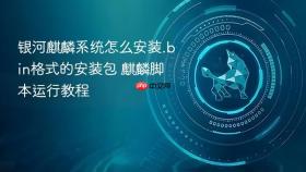 银河麒麟系统怎么安装.bin格式的安装包 麒麟脚本运行教程
