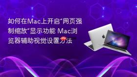 如何在mac上开启“网页强制缩放”显示功能 mac浏览器辅助视觉设置方法