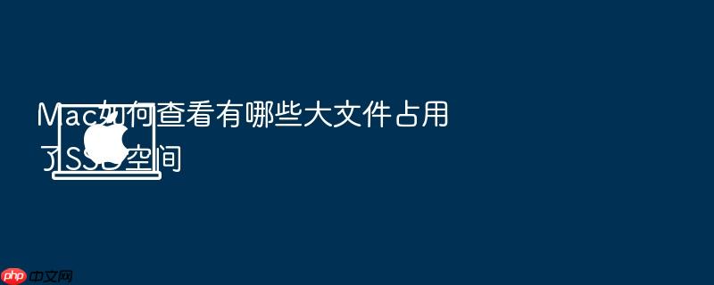mac如何查看有哪些大文件占用了ssd空间