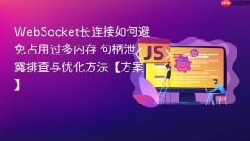 websocket长连接如何避免占用过多内存 句柄泄露排查与优化方法【方案】