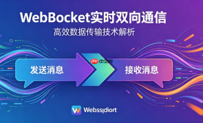 websocket数据加密传输怎么做 websocket私有协议设计方法【深度】