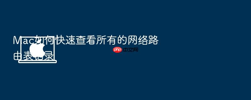 mac如何快速查看所有的网络路由表记录