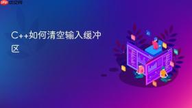 c++如何清空输入缓冲区