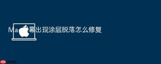 mac屏幕出现涂层脱落怎么修复