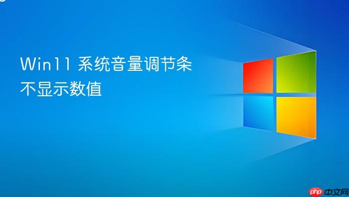 win11 系统音量调节条不显示数值