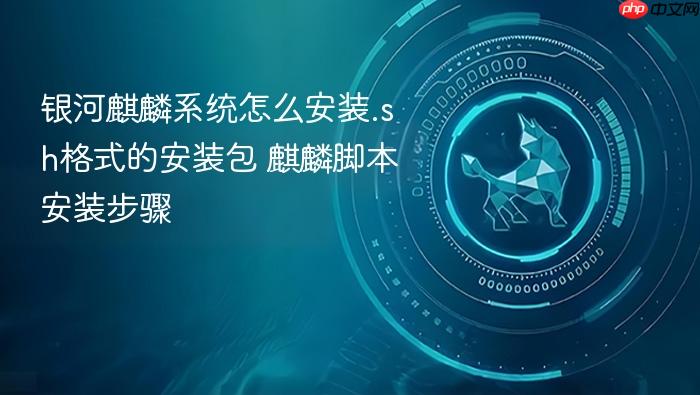 银河麒麟系统怎么安装.sh格式的安装包 麒麟脚本安装步骤