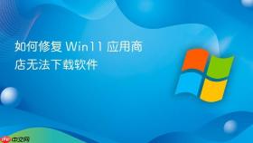 如何修复 Win11 应用商店无法下载软件