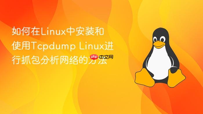 如何在linux中安装和使用tcpdump linux进行抓包分析网络的方法