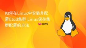 如何在linux中安装并配置etcd集群 linux保存集群配置的方法