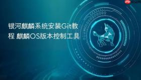 银河麒麟系统安装Git教程 麒麟OS版本控制工具