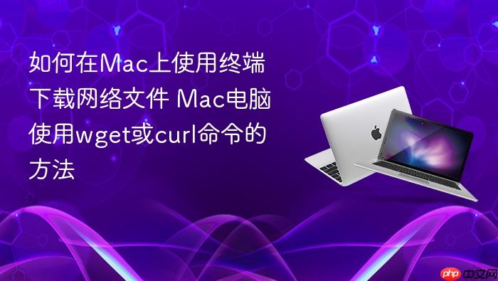 如何在mac上使用终端下载网络文件 mac电脑使用wget或curl命令的方法