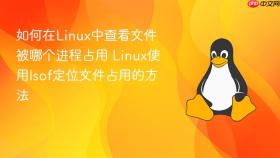如何在Linux中查看文件被哪个进程占用 Linux使用lsof定位文件占用的方法