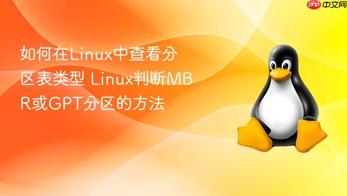 如何在linux中查看分区表类型 linux判断mbr或gpt分区的方法