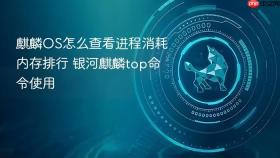 麒麟OS怎么查看进程消耗内存排行 银河麒麟top命令使用