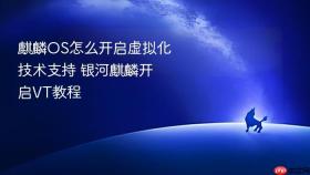 麒麟os怎么开启虚拟化技术支持 银河麒麟开启vt教程