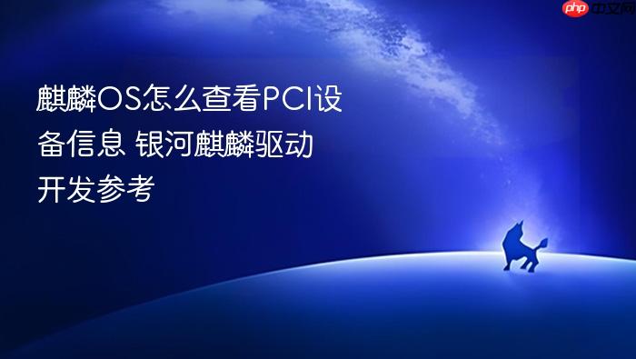 麒麟os怎么查看pci设备信息 银河麒麟驱动开发参考