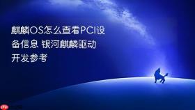 麒麟OS怎么查看PCI设备信息 银河麒麟驱动开发参考