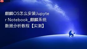 麒麟os怎么安装jupyter notebook_麒麟系统数据分析教程【实测】