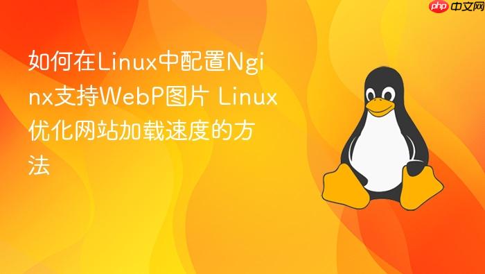 如何在linux中配置nginx支持webp图片 linux优化网站加载速度的方法