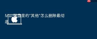 Mac磁盘里的“其他”怎么删除最彻底