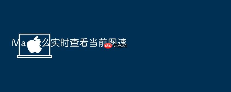 mac怎么实时查看当前网速