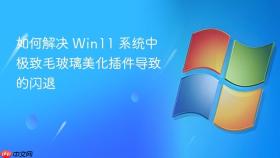 如何解决 win11 系统中极致毛玻璃美化插件导致的闪退