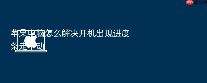 苹果电脑怎么解决开机出现进度条走不动