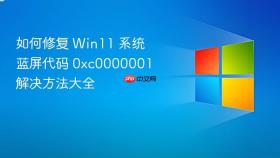 如何修复 Win11 系统蓝屏代码 0xc0000001 解决方法大全