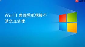 win11 桌面壁纸模糊不清怎么处理