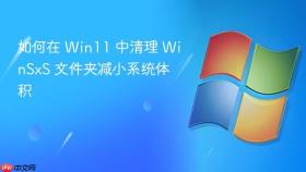如何在 Win11 中清理 WinSxS 文件夹减小系统体积
