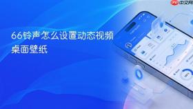 66铃声怎么设置动态视频桌面壁纸