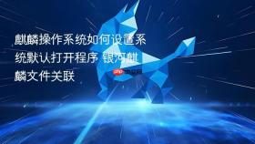 麒麟操作系统如何设置系统默认打开程序 银河麒麟文件关联