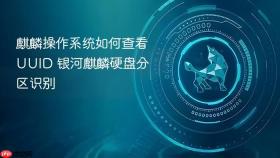 麒麟操作系统如何查看uuid 银河麒麟硬盘分区识别