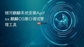 银河麒麟系统安装apifox 麒麟os接口调试管理工具