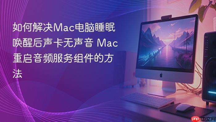如何解决mac电脑睡眠唤醒后声卡无声音 mac重启音频服务组件的方法