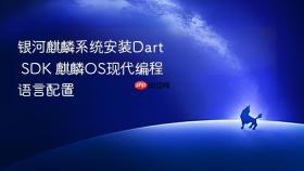 银河麒麟系统安装Dart SDK 麒麟OS现代编程语言配置