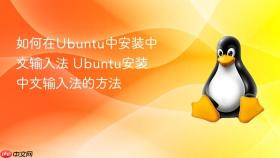 如何在Ubuntu中安装中文输入法 Ubuntu安装中文输入法的方法