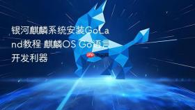 银河麒麟系统安装goland教程 麒麟os go语言开发利器